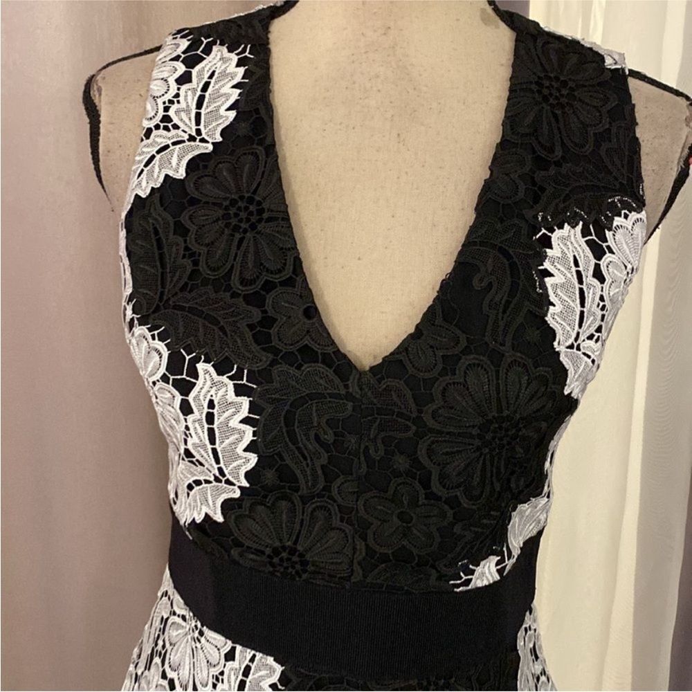 Alice + Olivia Elegant Black and White Lace Dress, US4 - Picture 4 of 11